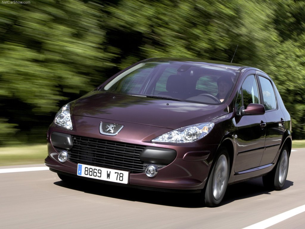 Peugeot 307 2005 - 2008